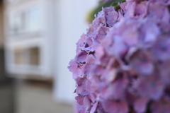 3F7E2BC5-5DD3-4EB7-ABBE-7C4936AB361B