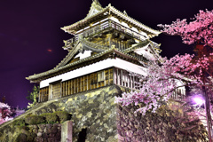 丸岡城