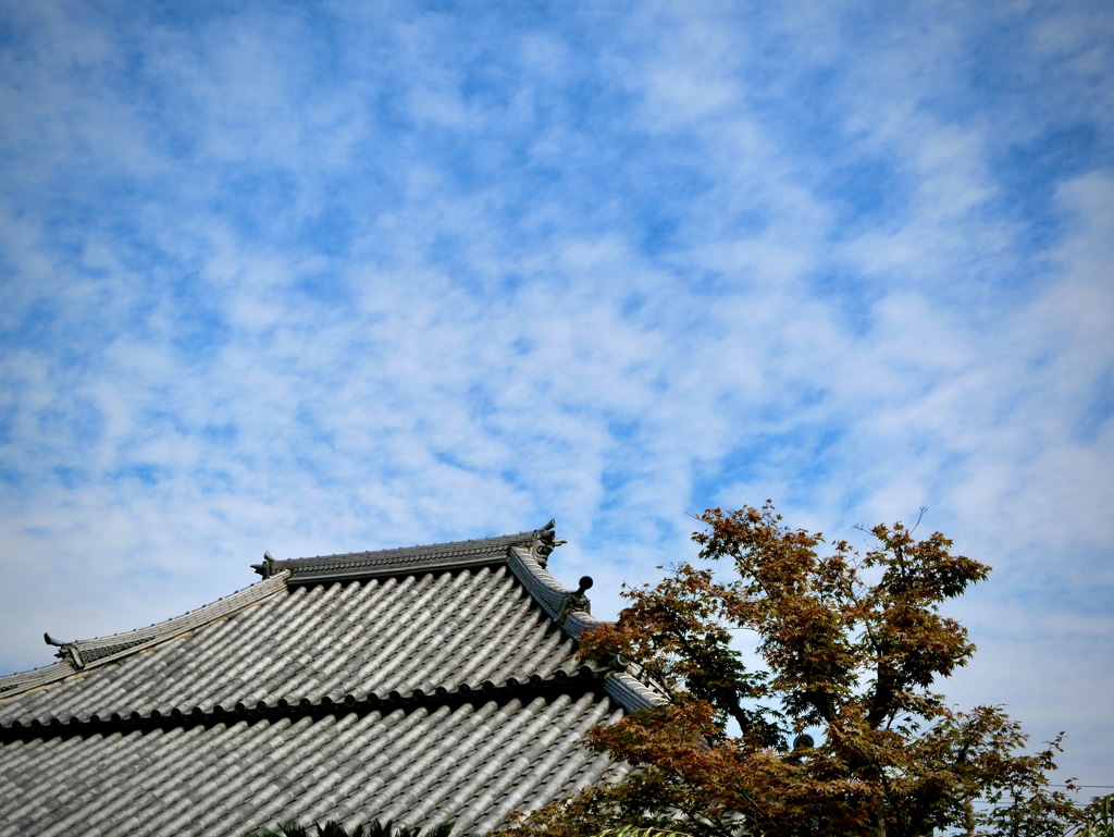 雨上がりの寺町にて・・１０