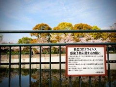 今年も厳しい春になりそうだな～((+_+))