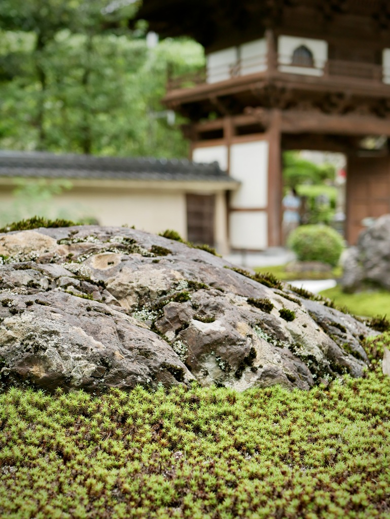 城崎にて・・極楽寺３