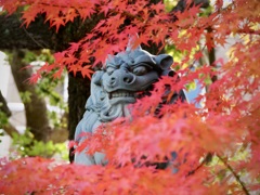 燃えるような紅葉の中に