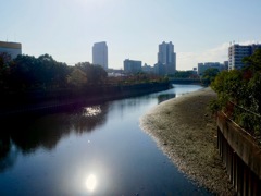 庄下川から阪神尼崎方面を見る