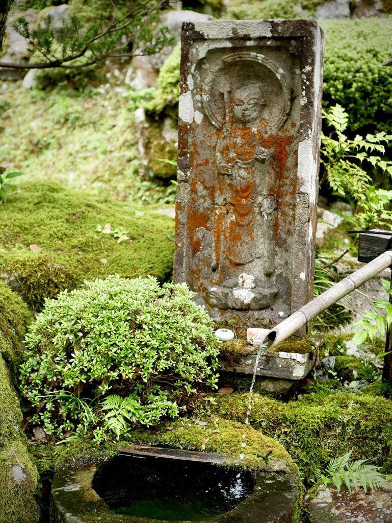 城崎にて・・極楽寺