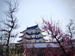 尼崎城と梅