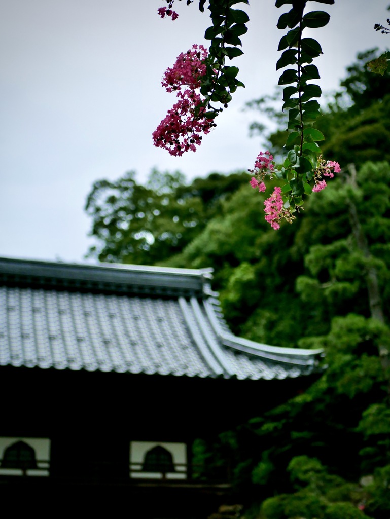 城崎にて・・極楽寺４