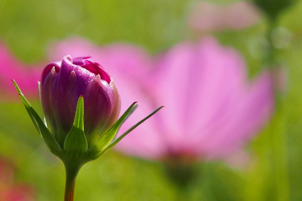 もう、間もなく