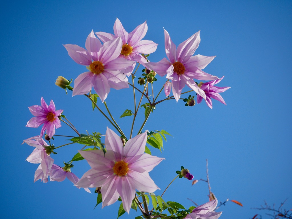 寒さに負けず２