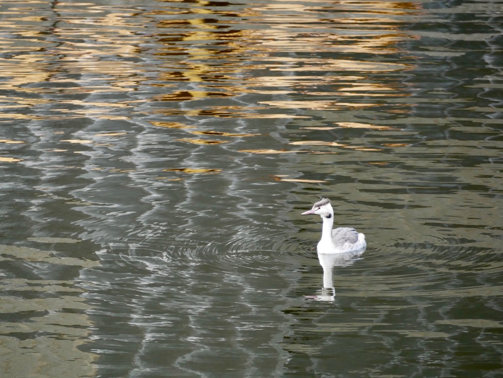 君、お名前は？