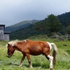 余生６