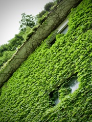 城崎にて・Green wall