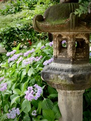 6月の尼崎えびす神社　７