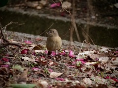 片足でリラックス