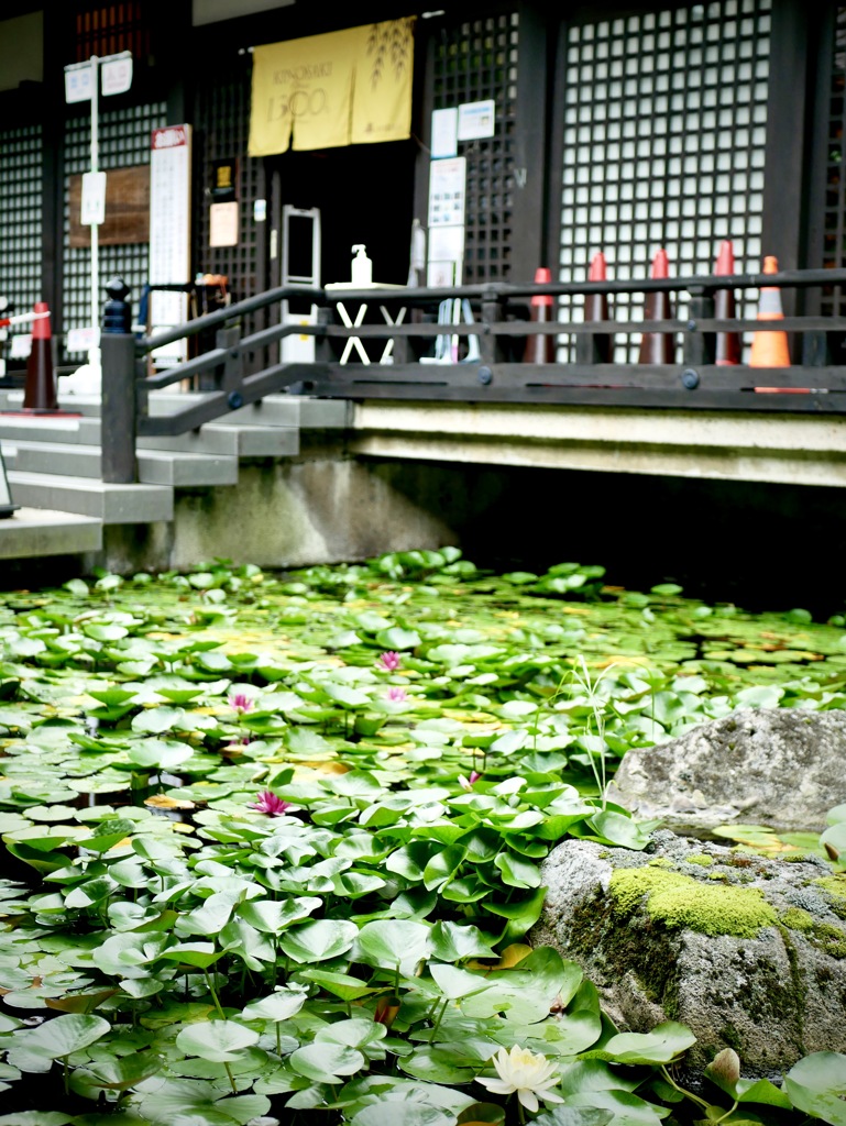 城崎にて・・御所の湯６