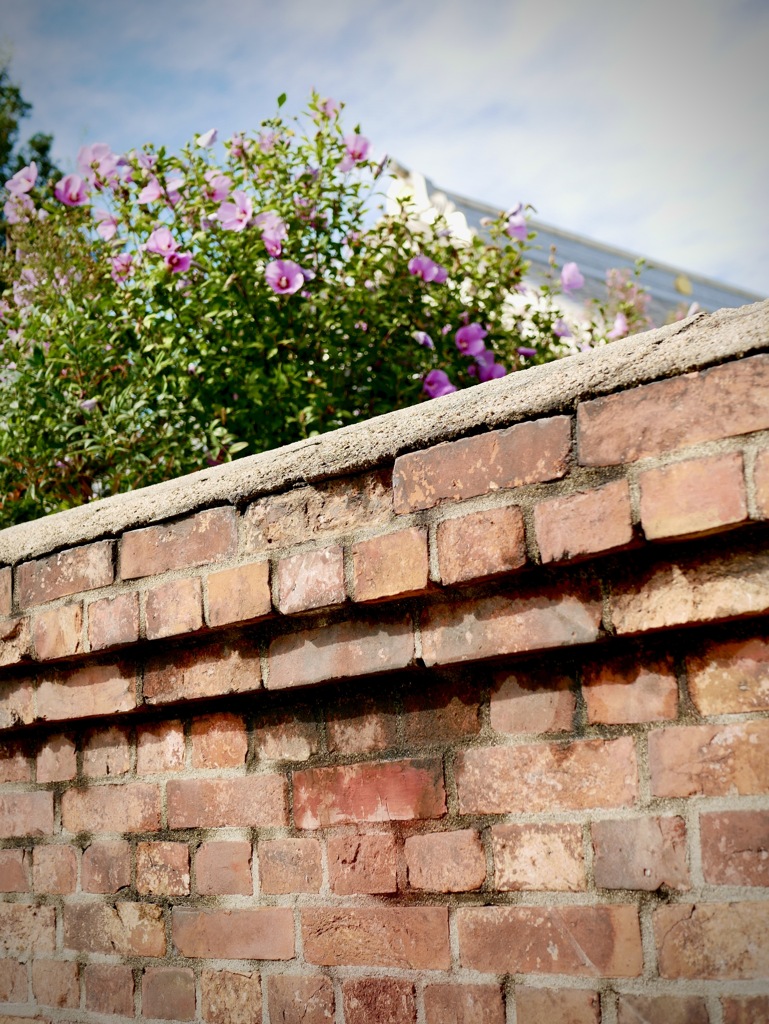 雨上がりの寺町にて・・１２