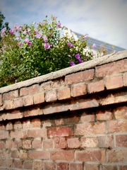 雨上がりの寺町にて・・１２