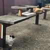 尼崎　猫のいる風景４