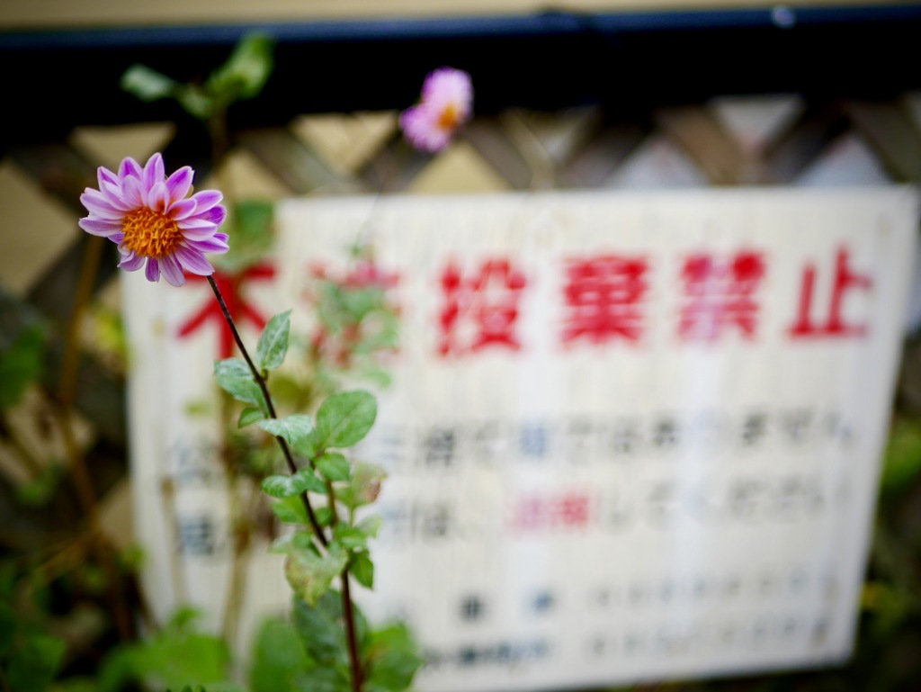 不法投棄は許しません！