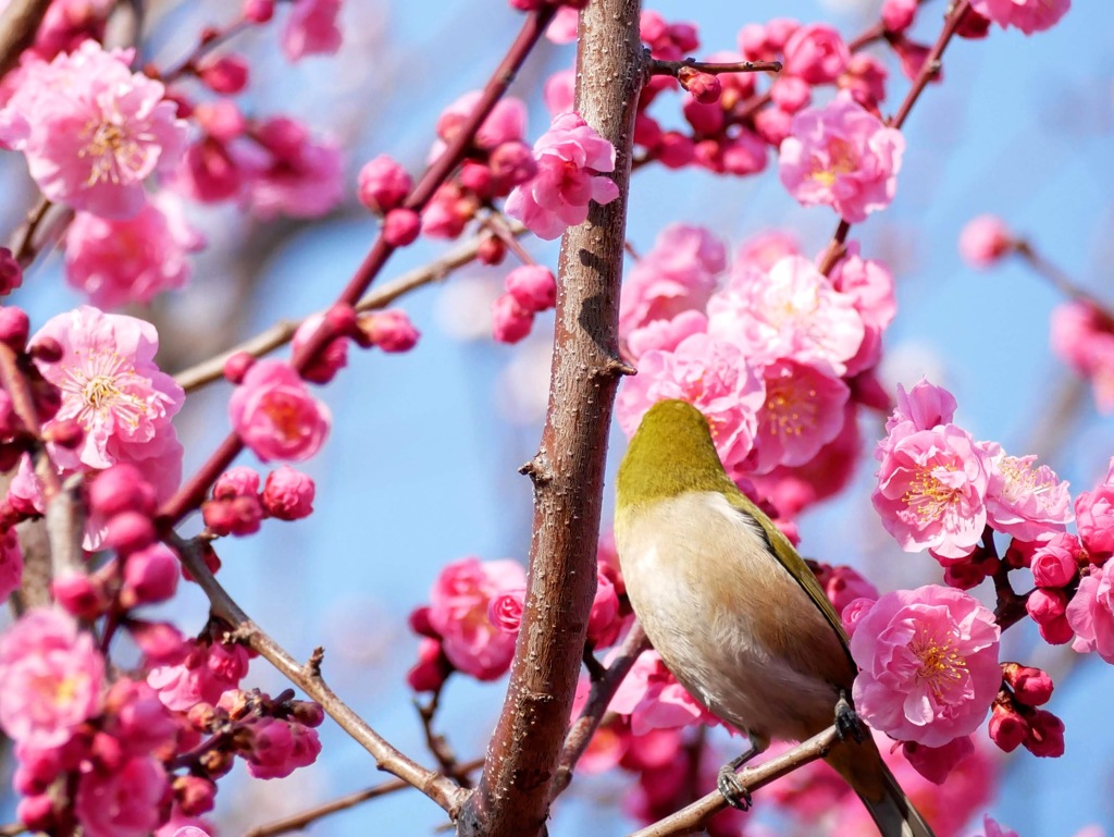 こっち向いて、、