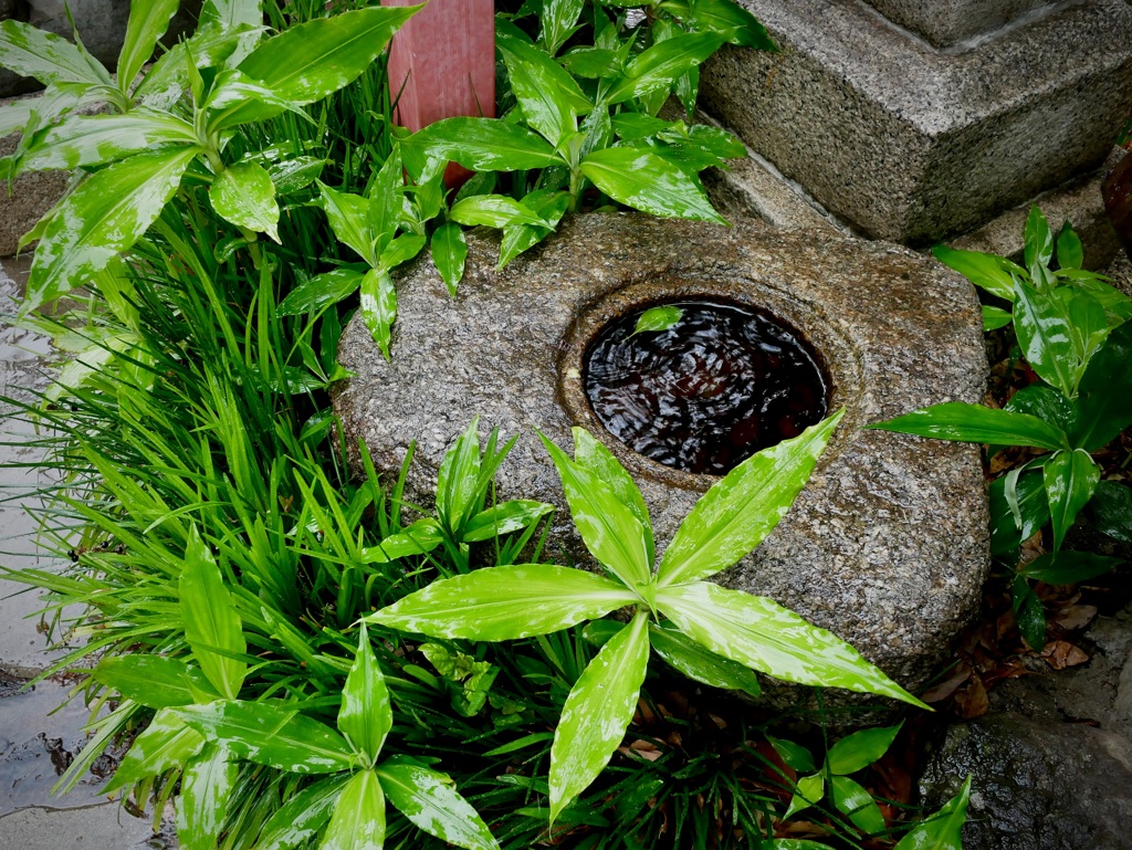 雨の日２