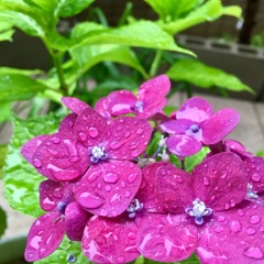 Rainy day2