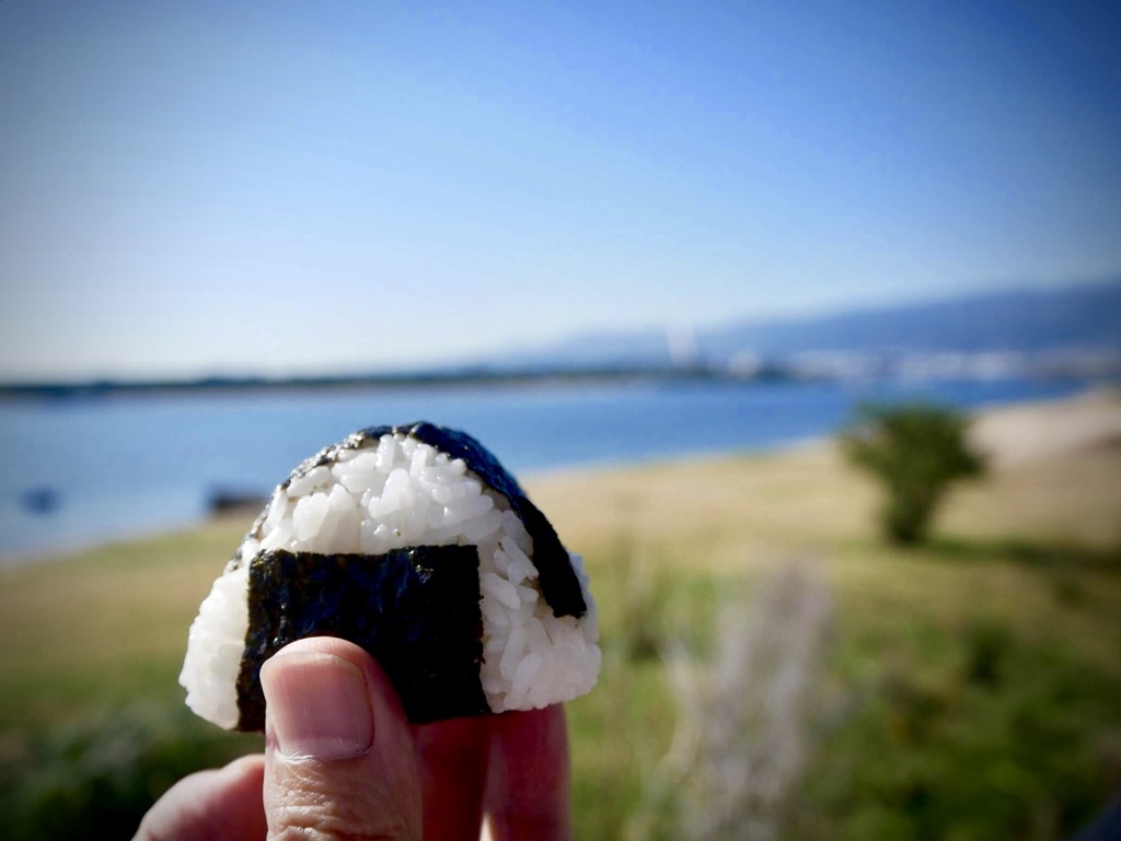 おむすびが小さいのか？指が太いのか？