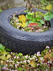 古タイヤの花壇