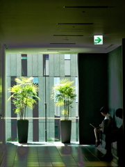 都会のオアシス