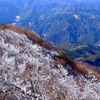 頂上だけの霧氷