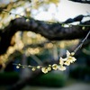 平和への願い