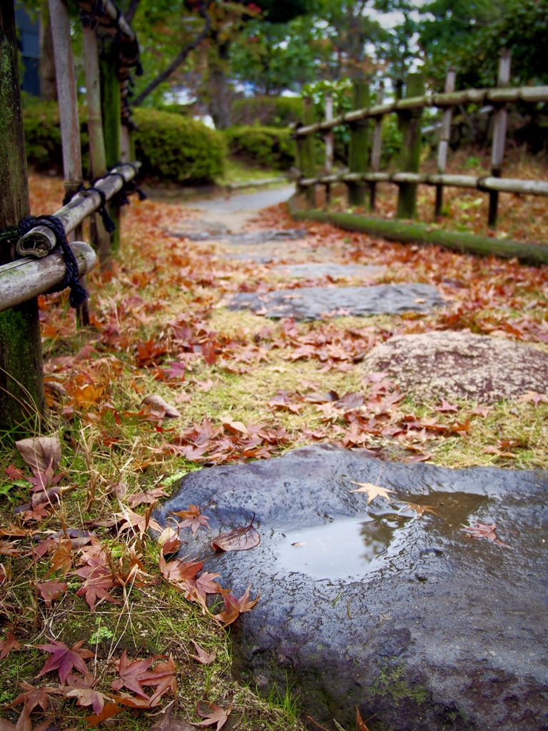 雨上がりの師走