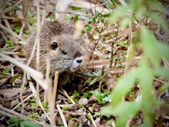子供は可愛い・・