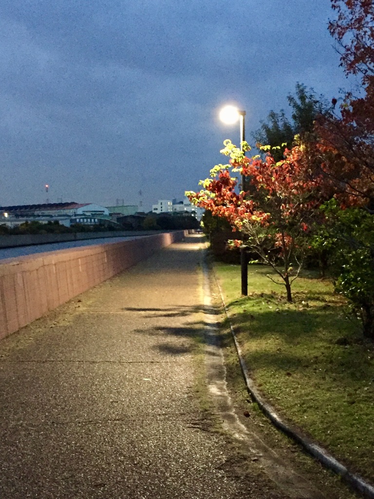 散歩道　早朝