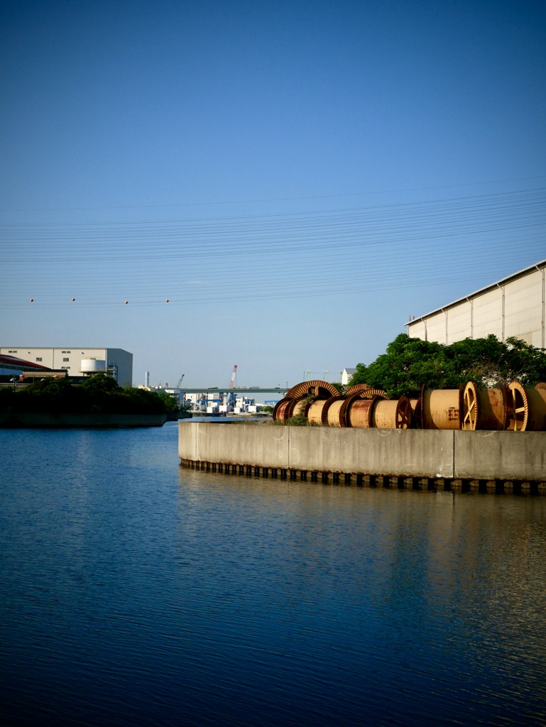 いつもの散歩道２