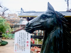 雨上がりのえびす神社にて４