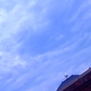 曇り空と鳳凰