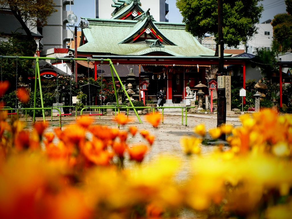 尼崎えびす神社にて２