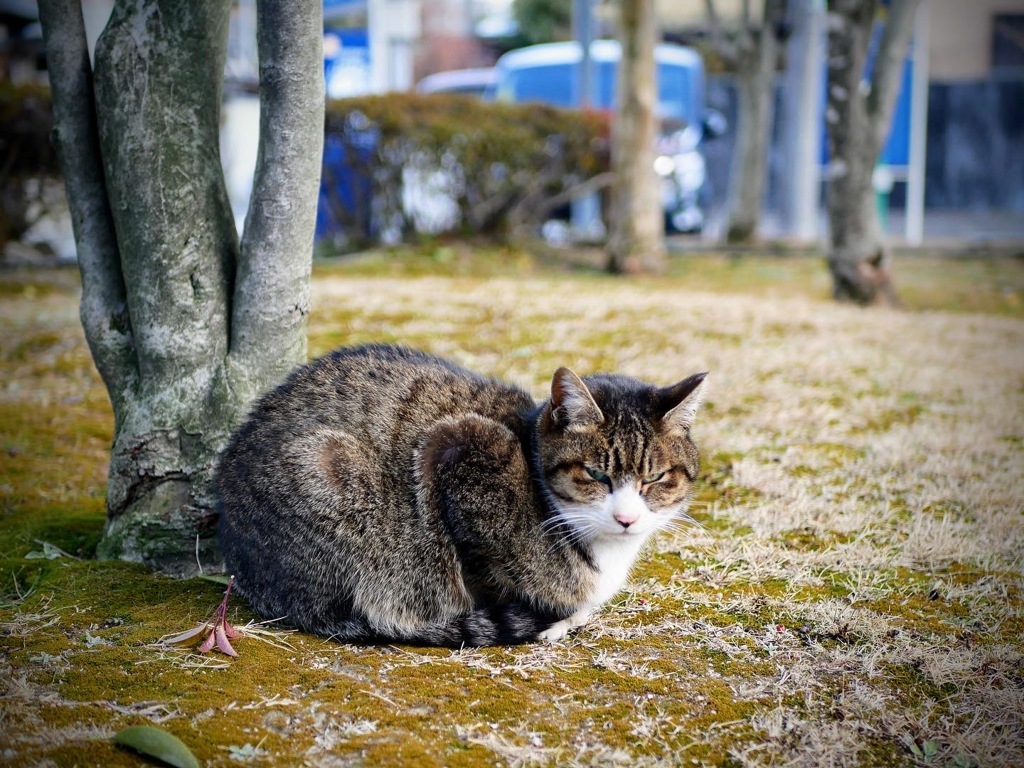 寒いね〜ぇ