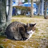 寒いね〜ぇ