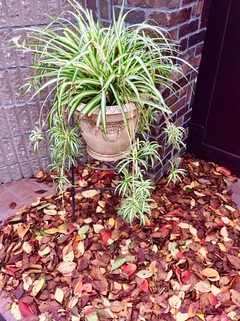  Decorate with fallen leaves