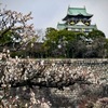 寒い日の大阪城梅林