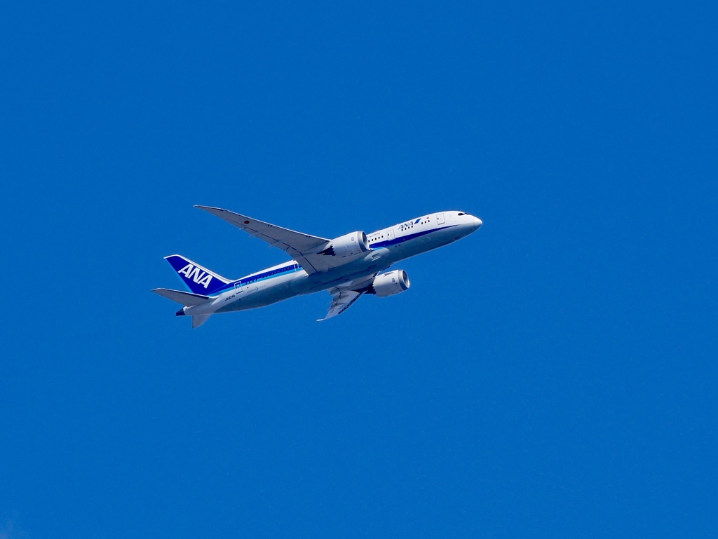 武庫川にて・・飛行機