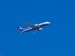 武庫川にて・・飛行機