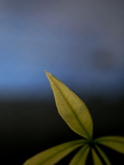 静寂