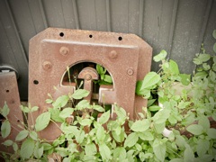 ノスタルジア常滑　１３