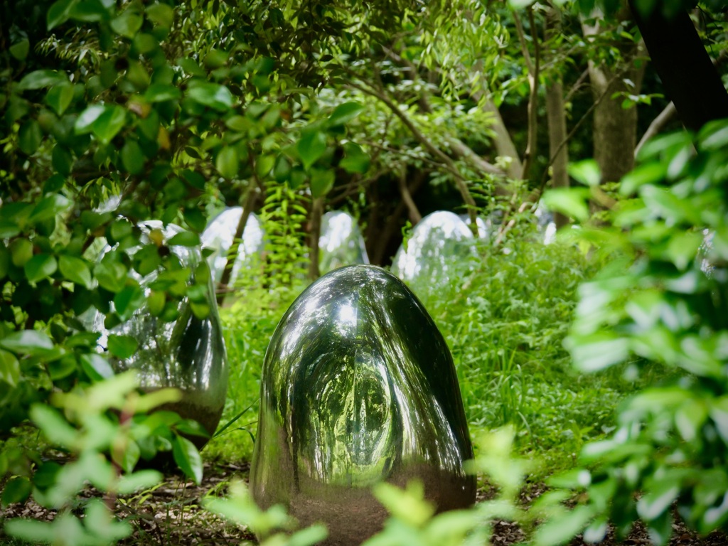 長居植物園にて１３