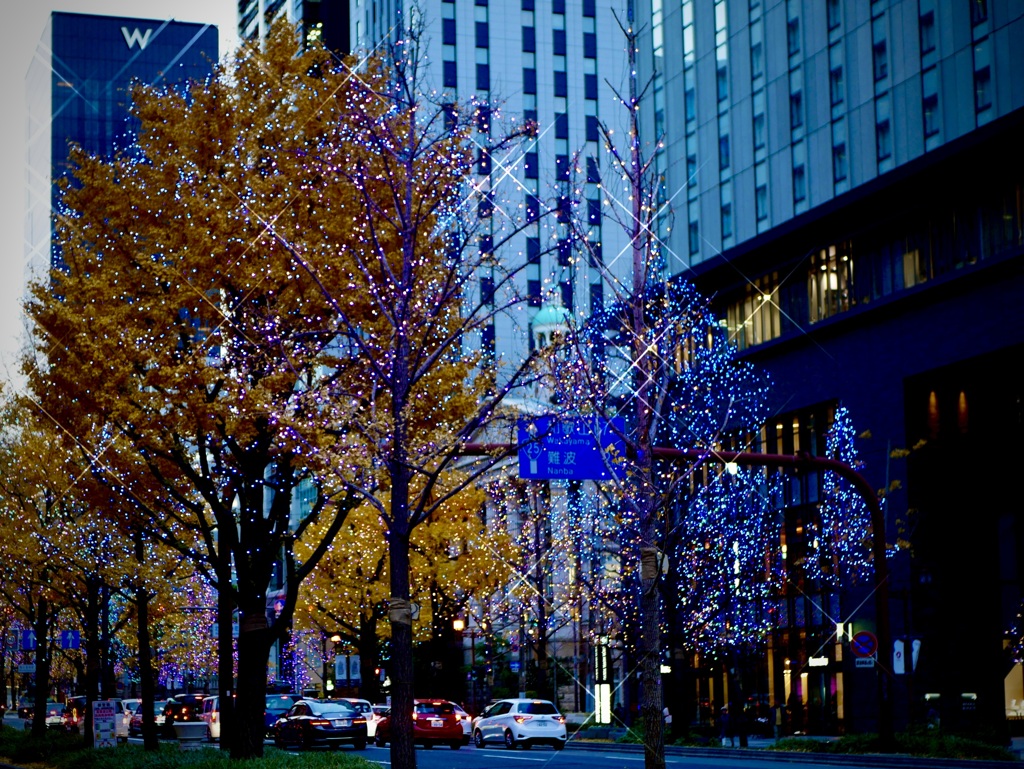 夕暮れの御堂筋