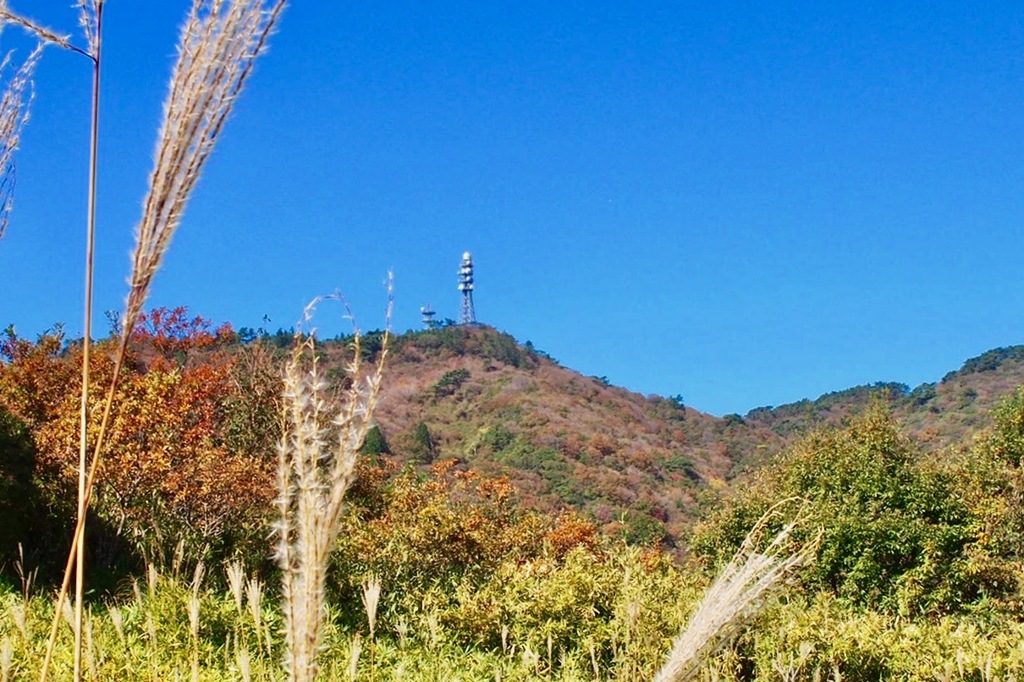 あと少しで最高峰