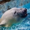 涼しそう３