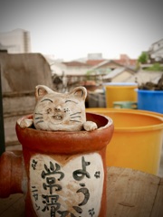 ノスタルジア常滑　１４